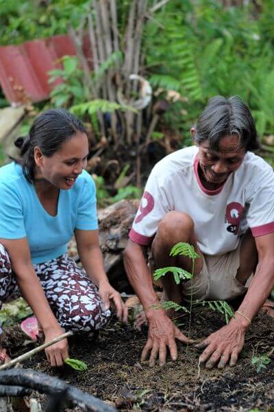 Projekt des Monats - Eine Million Bäume für Borneo