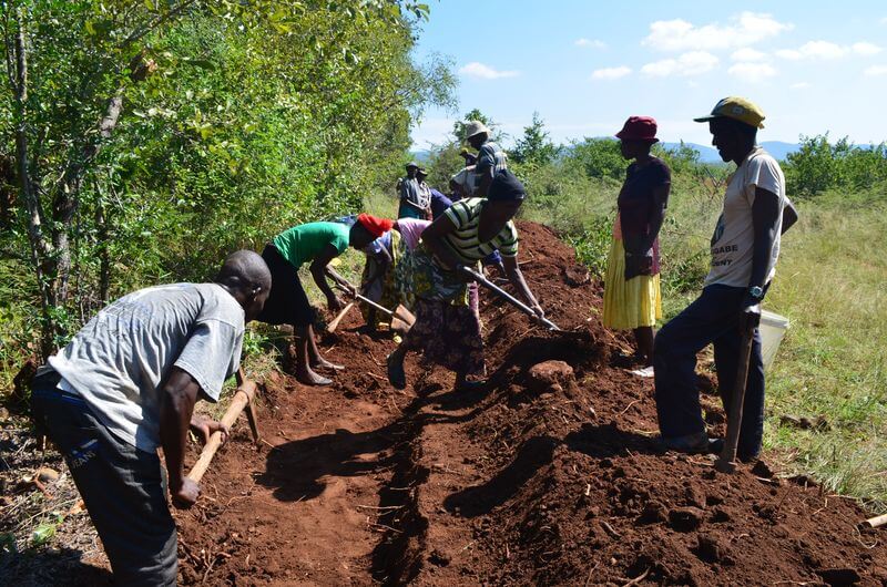 Projekt des Monats - Weltfriedensdienst und TSURO in Simbabwe